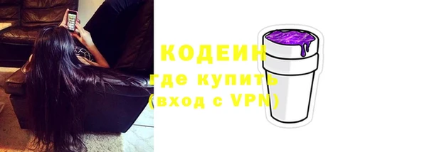 apvp Бикин