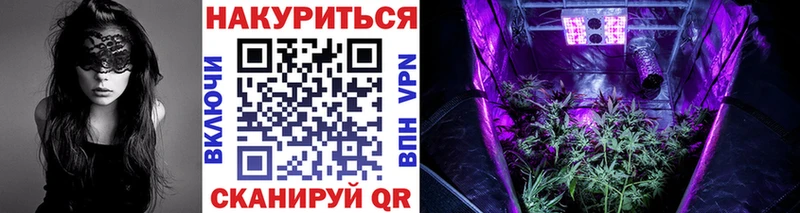купить наркотик  Мантурово  Бошки марихуана OG Kush 